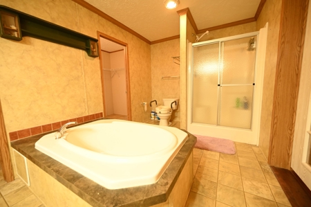 Home For Sale Galmey Missouri - image 30