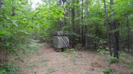East Texas Land For Sale - image 16