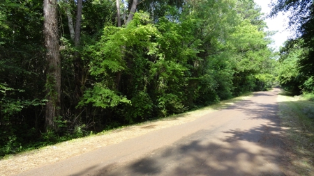 East Texas Land For Sale - image 8