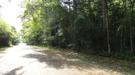 East Texas Land For Sale - image 7