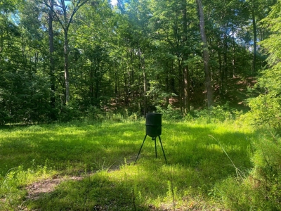 156 Acres Hunting Land for Sale in Wilkinson County, MS - image 9