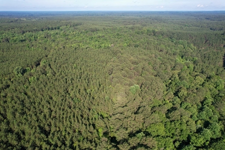 156 Acres Hunting Land for Sale in Wilkinson County, MS - image 36