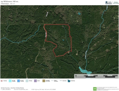 156 Acres Hunting Land for Sale in Wilkinson County, MS - image 49