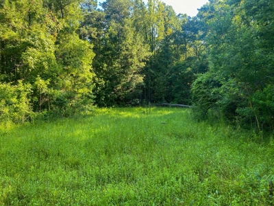 156 Acres Hunting Land for Sale in Wilkinson County, MS - image 21
