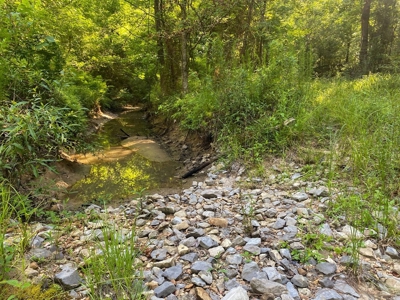 156 Acres Hunting Land for Sale in Wilkinson County, MS - image 23