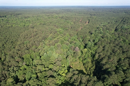156 Acres Hunting Land for Sale in Wilkinson County, MS - image 37