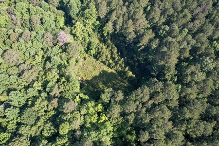 156 Acres Hunting Land for Sale in Wilkinson County, MS - image 41
