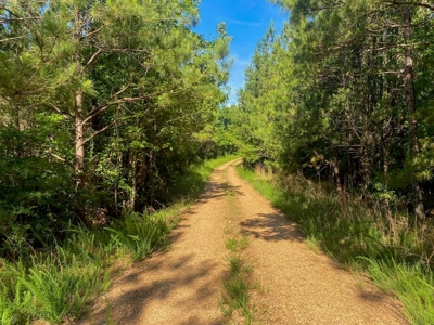 156 Acres Hunting Land for Sale in Wilkinson County, MS - image 1