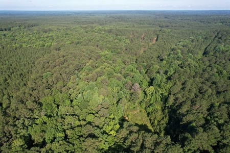 156 Acres Hunting Land for Sale in Wilkinson County, MS - image 38
