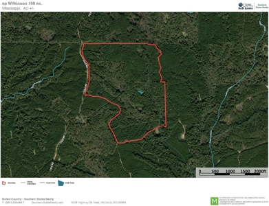156 Acres Hunting Land for Sale in Wilkinson County, MS - image 48
