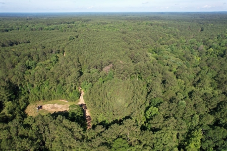 156 Acres Hunting Land for Sale in Wilkinson County, MS - image 33