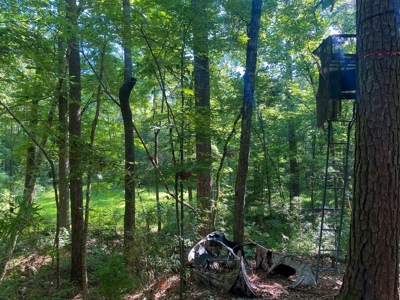 156 Acres Hunting Land for Sale in Wilkinson County, MS - image 17
