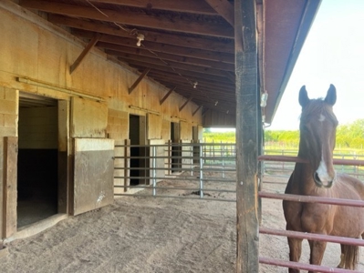 Income Producing Equestrian Property for Sale in Western NC - image 14