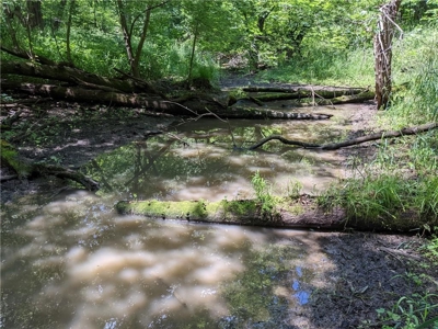 Land Auction, Adair County, MO near Kirksville - image 32