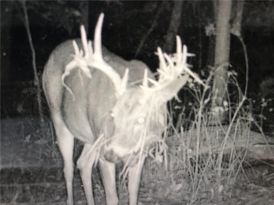Land Auction, Adair County, MO near Kirksville - image 18