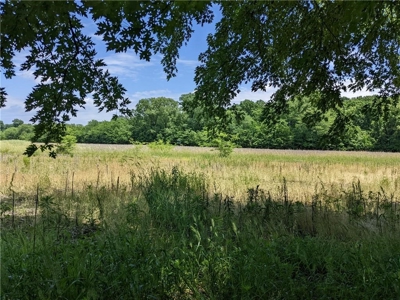 Land Auction, Adair County, MO near Kirksville - image 13