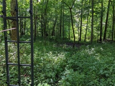 Land Auction, Adair County, MO near Kirksville - image 10