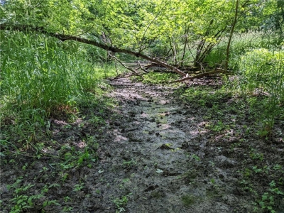 Land Auction, Adair County, MO near Kirksville - image 14