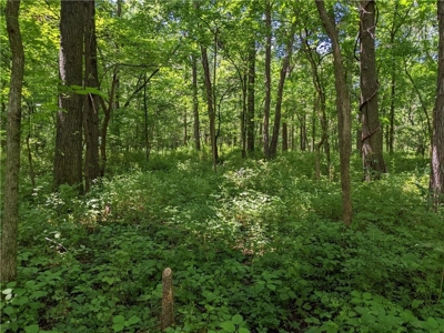 Land Auction, Adair County, MO near Kirksville - image 12