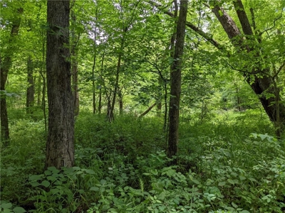 Land Auction, Adair County, MO near Kirksville - image 29