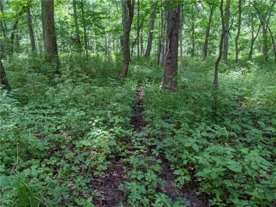 Land Auction, Adair County, MO near Kirksville - image 30