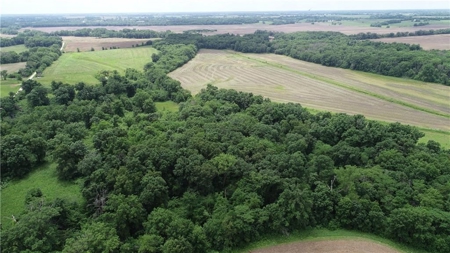Land Auction, Adair County, MO near Kirksville - image 22