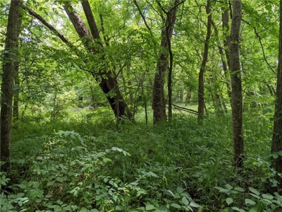 Land Auction, Adair County, MO near Kirksville - image 11