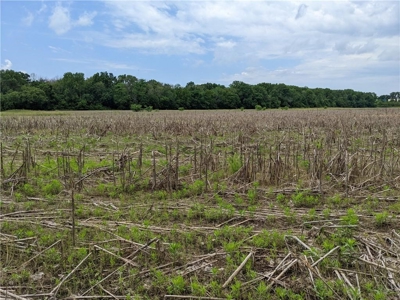 Land Auction, Adair County, MO near Kirksville - image 27