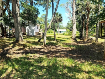 Tiny Cottage In Suwannee Florida! - image 2