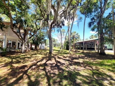 Tiny Cottage In Suwannee Florida! - image 5