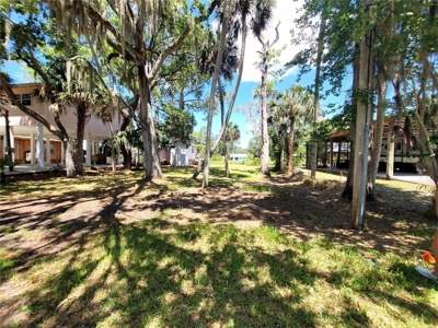 Tiny Cottage In Suwannee Florida! - image 12