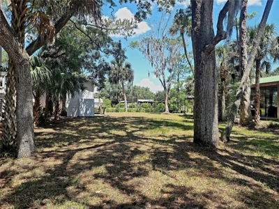 Tiny Cottage In Suwannee Florida! - image 1