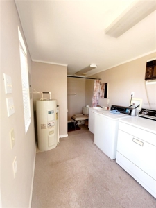 Tiny Cottage In Suwannee Florida! - image 10