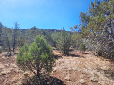 Beautiful Property - image 6