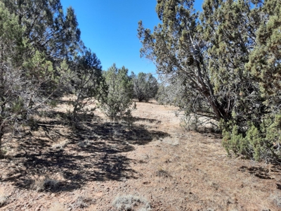 Beautiful Property - image 10