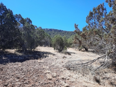 Beautiful Property - image 1