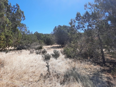 Beautiful Property - image 3