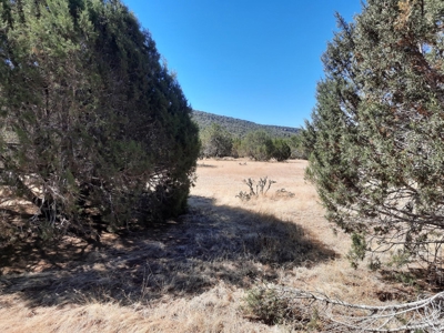 Beautiful Property - image 11