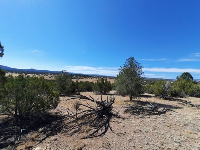 Gorgeous Views - image 9