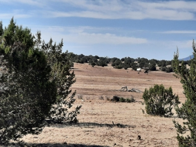 Gorgeous Views - image 4