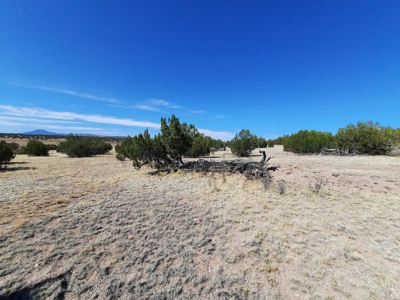 Great Views - image 6