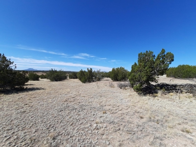Great Views - image 7