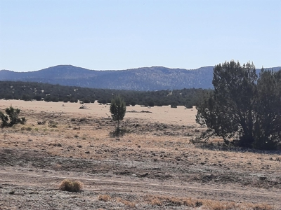 Great Views - image 2