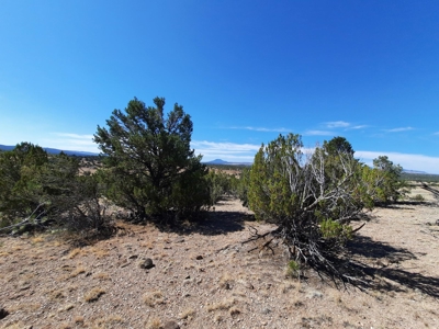 Great Views - image 9
