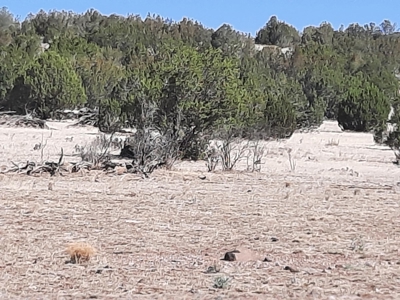 Great Views - image 5