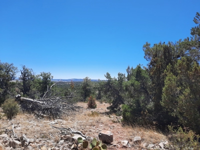 Very Secluded - image 3