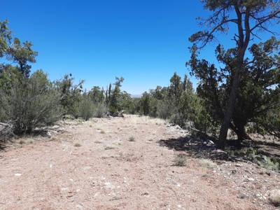 Very Secluded - image 16