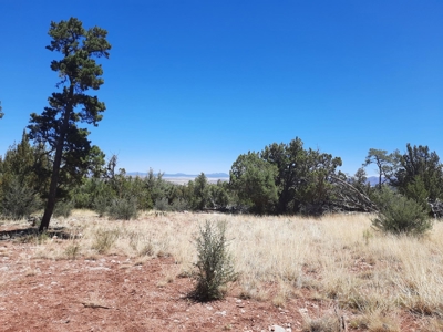 Very Secluded - image 13