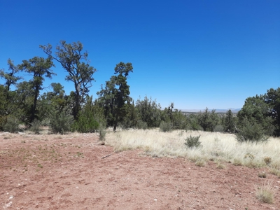 Very Secluded - image 14