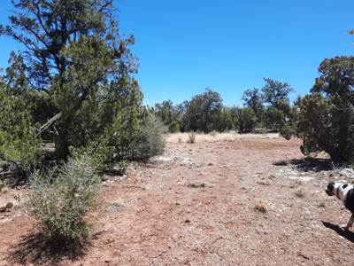 Very Secluded - image 11